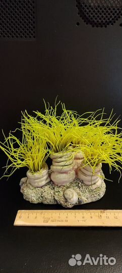 Аквариум маленький и многое другое