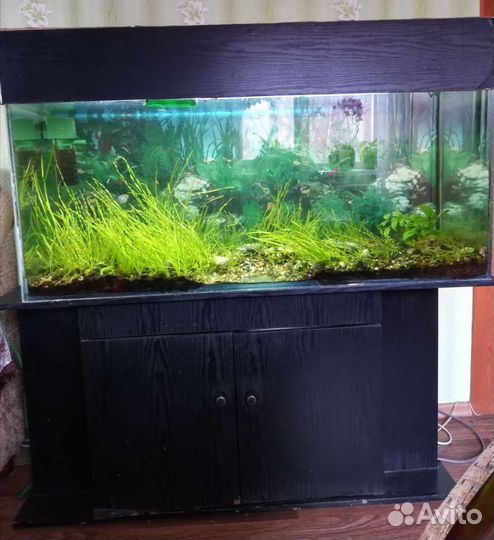 Аквариум с тумбой