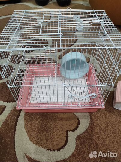 Клетка для грызуна бу