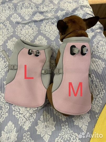 Охлаждающий жилет для собак