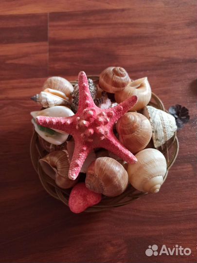 Ракушки в корзинке