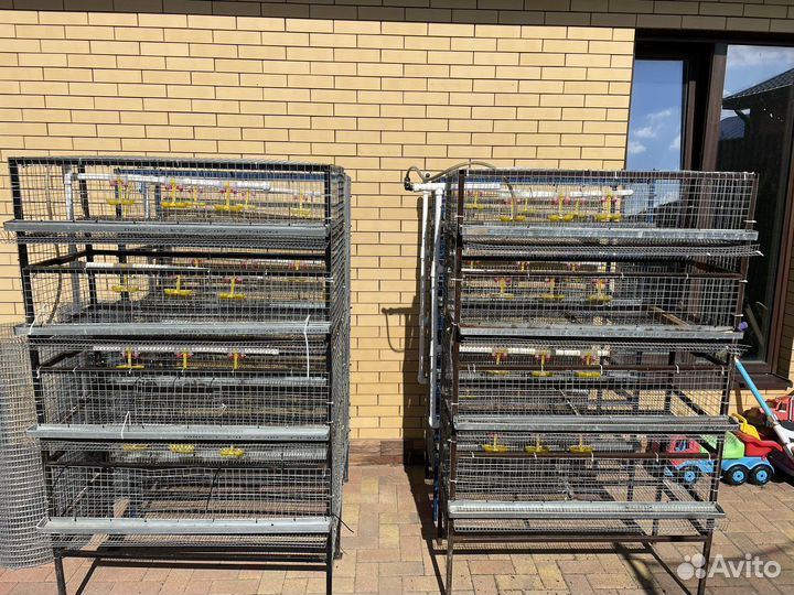 Клетки для перепелов