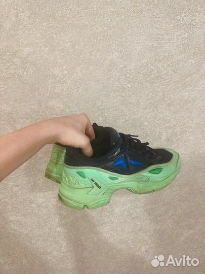 Raf Simons pharaxus