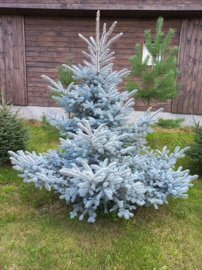 Дом 45 м² на участке 9 сот.