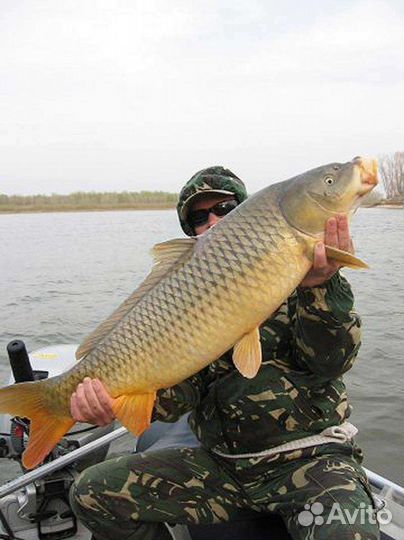 Рыбалка в Астрахани