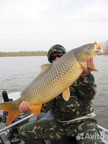 Рыбалка в Астрахани