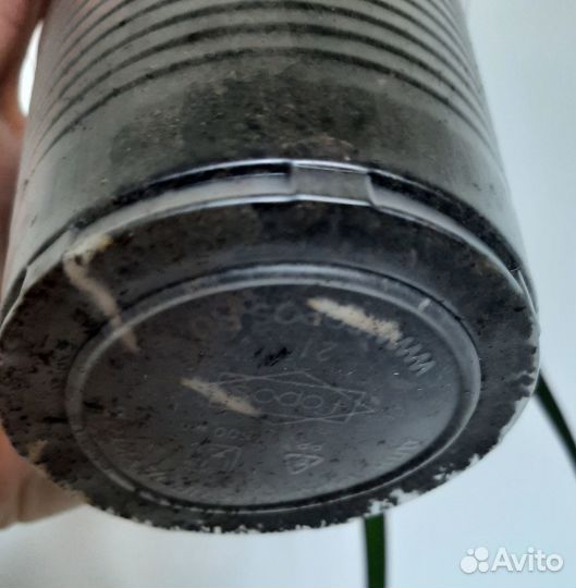 Драцена окаймленная (маргината)