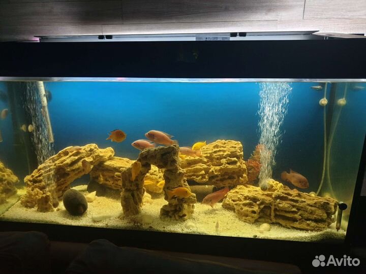 Аквариум с фильтром и светом
