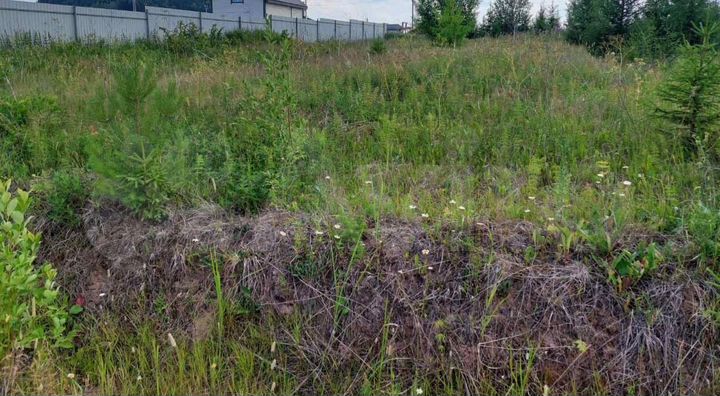 Участок 10 сот. (СНТ, ДНП)