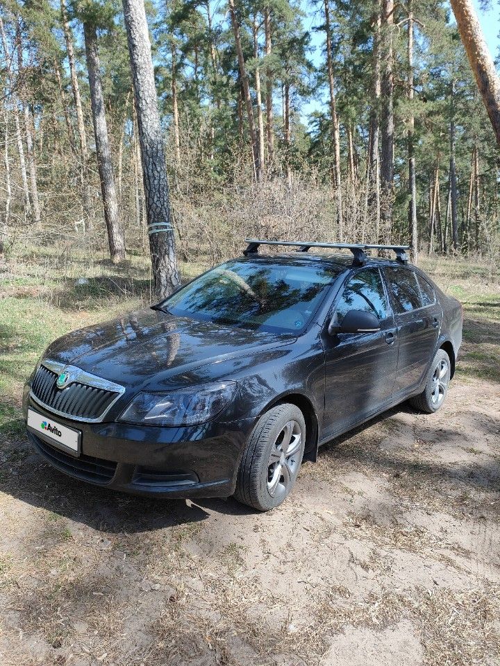 Skoda Octavia: фото владельца
