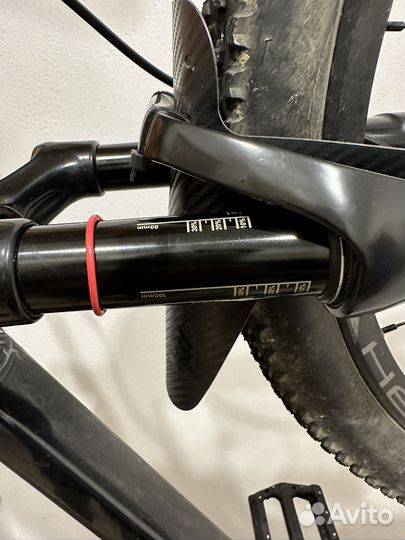 Stinger Genesis EVO STD 29 2021