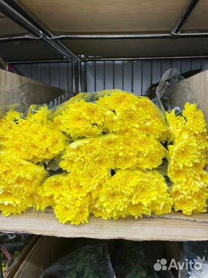 Хризантема цветы букет доставка цветов Москва