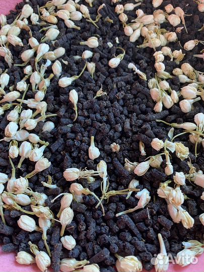 Иван-чай выдержанный в кедровом сундуке, премиум