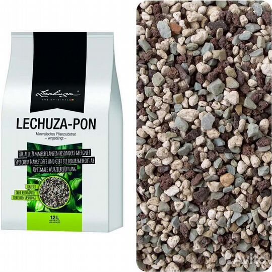 Lechuza pon