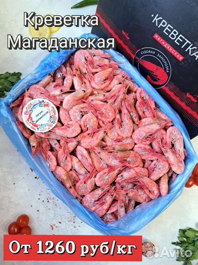 Креветка Магаданская