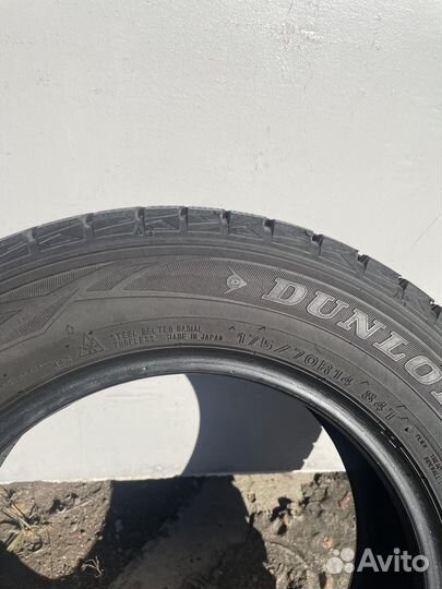 Dunlop Winter Maxx WM01 175/70 R14