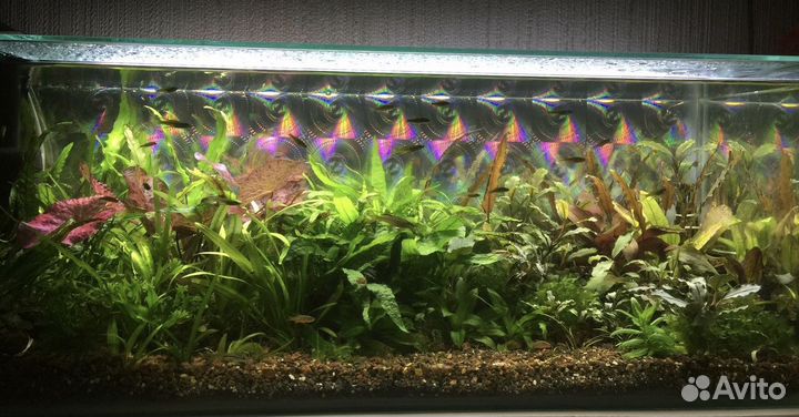 Аквариум
