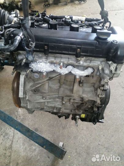 Двигатель Форд Фокус 2 qqdb qqda 1,8 бензин