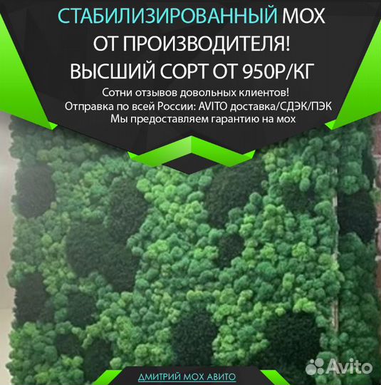 Стабилизированный мох для интерьера,декора стен