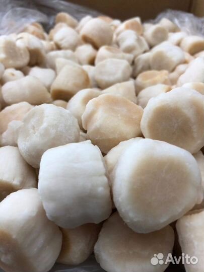 Краб Икра Креветки Рыба Устрицы Кета Горбуша Нерка