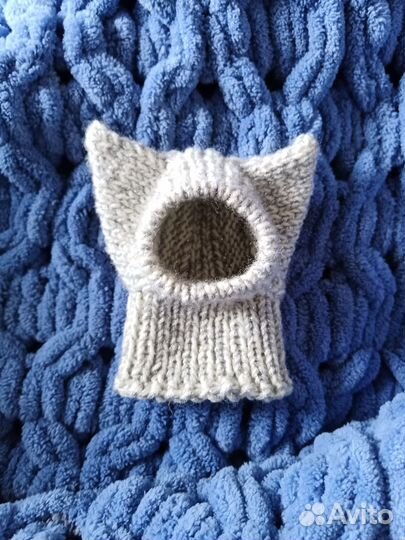 Шапочки на маленьких собачек