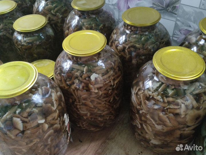 Опята маринованные