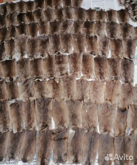 Мех ондатры