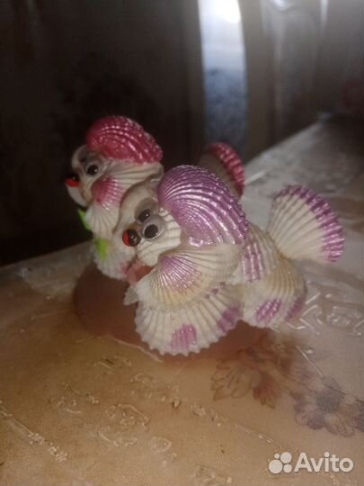 Ракушка, Таиланд