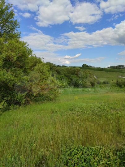 Участок 43 сот. (СНТ, ДНП)