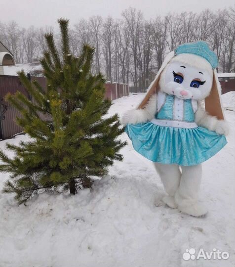 Ростовые куклы.Мишки Тедди и Татти, Зайка, Котик