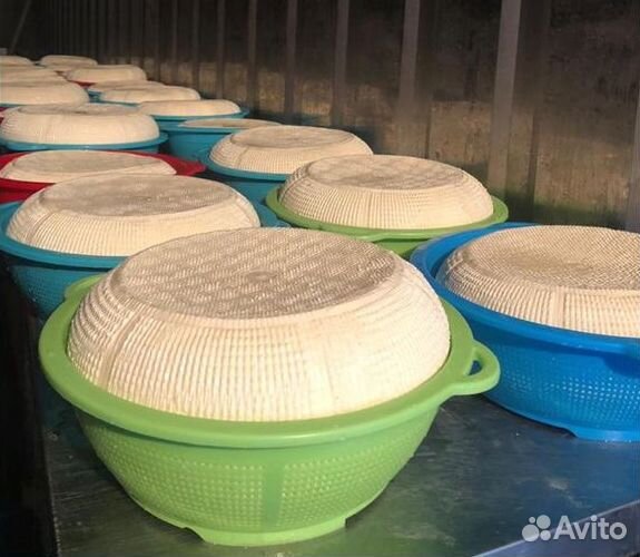 Осетинский сыр оптом