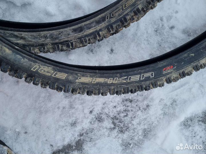 Комплект велошин зимних шип 26 Shwable Ice peak