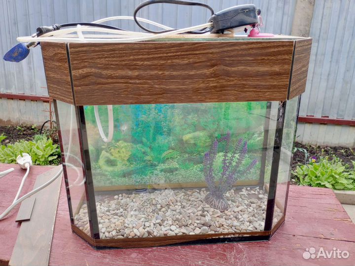 Аквариум