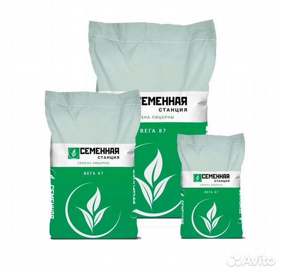 Семена люцерны