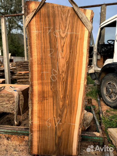 Слэб карагач