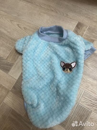 Одежда для собак шпиц