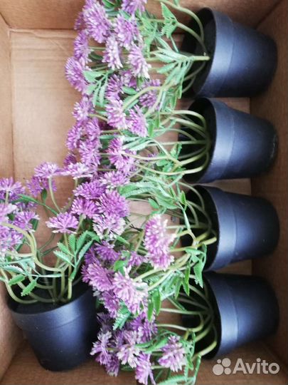 Искусственная зелень IKEA