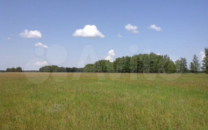 Участок 6 га (СНТ, ДНП)