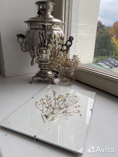 Картина-гербарий 