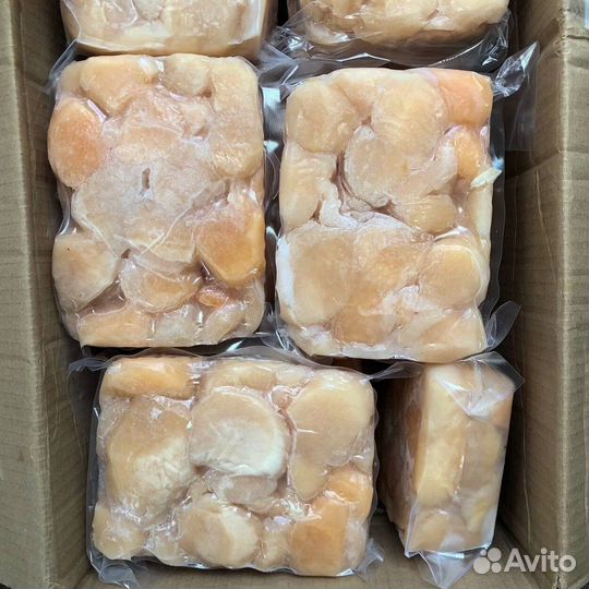 Оптом Гребешок