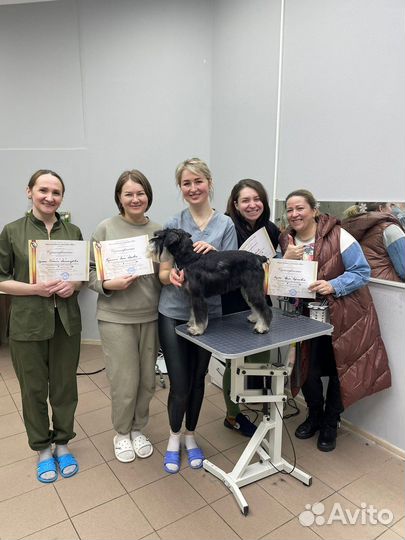 Курсы Груминга