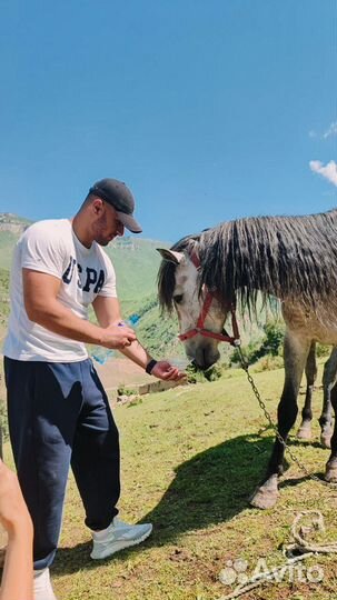 Тур в Дагестан на 5 дней