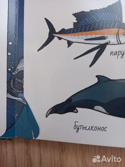 Книги Найди и покажи Clever