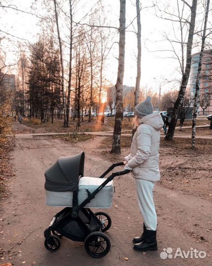 Коляска 2 в 1 Jane Muum