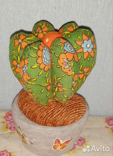 Игольница кактус