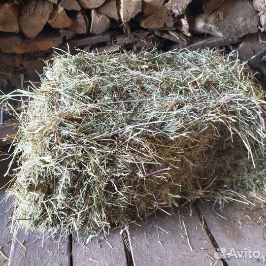 Сено в тюках