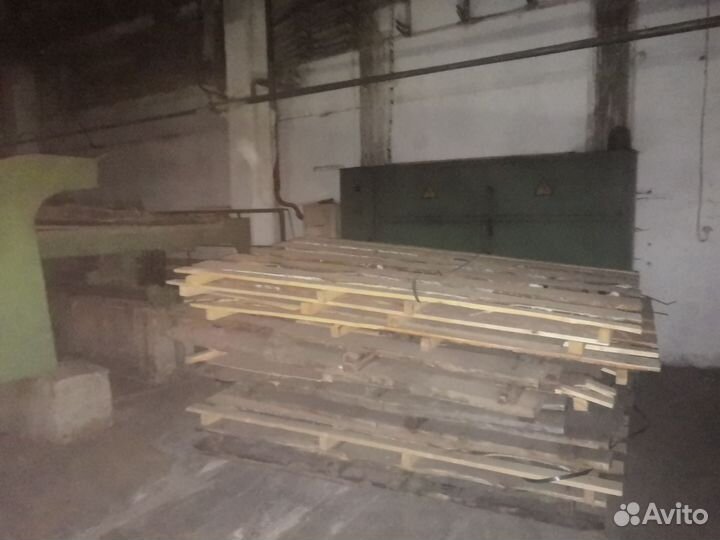 Европотдоны