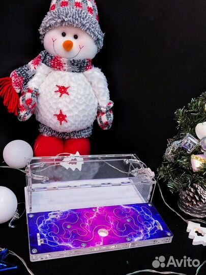 Муравьиная ферма с муравьями