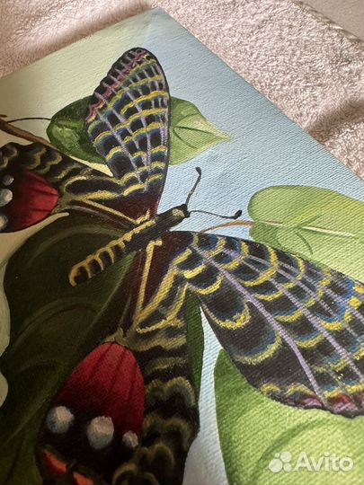 Картина с бабочкой