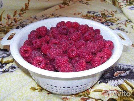 Земляника Клубника Малина